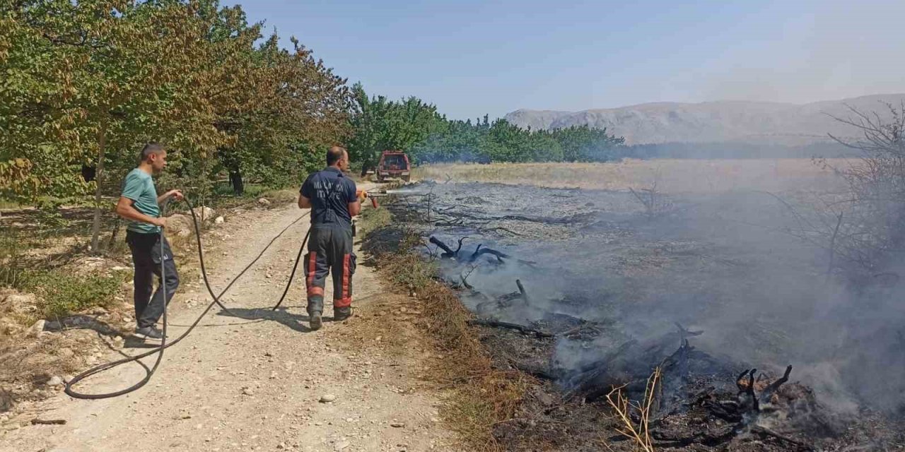 Malatya’da anız ve bahçe yangınları