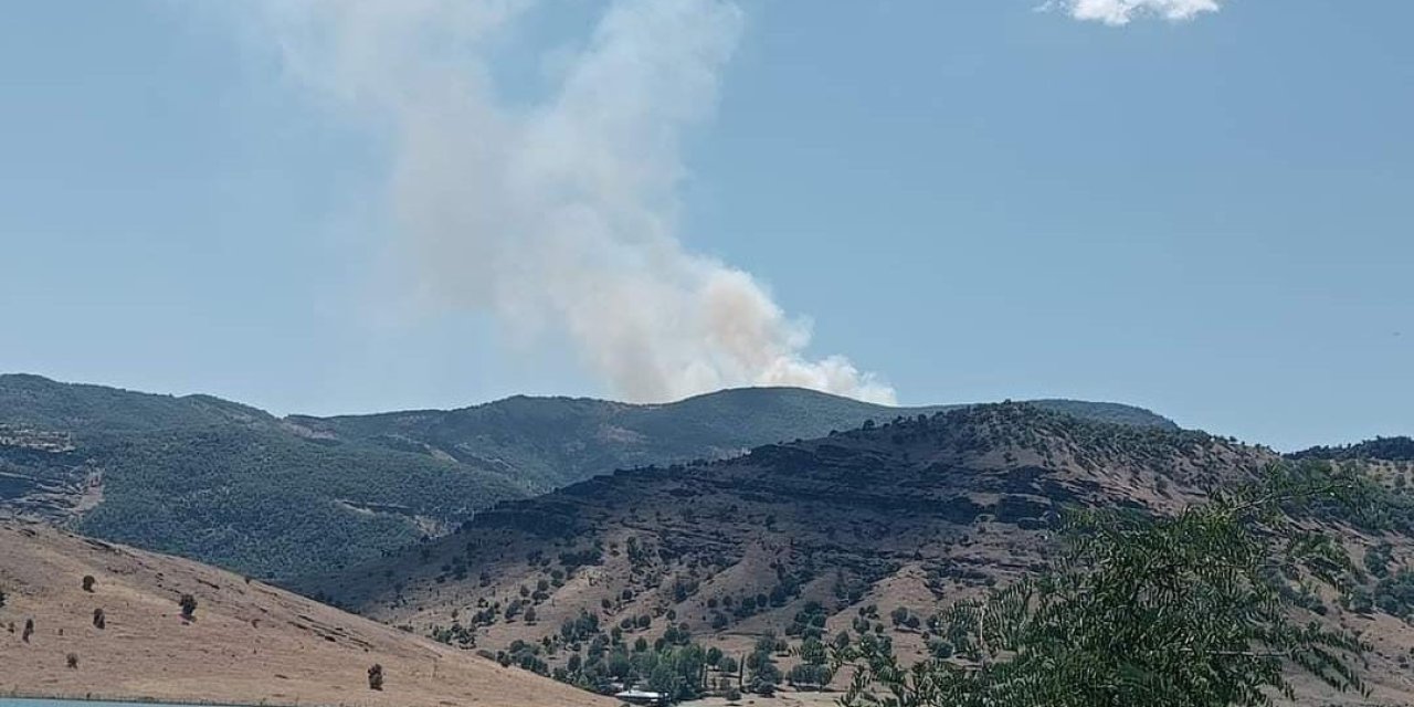 Tunceli’de orman yangını