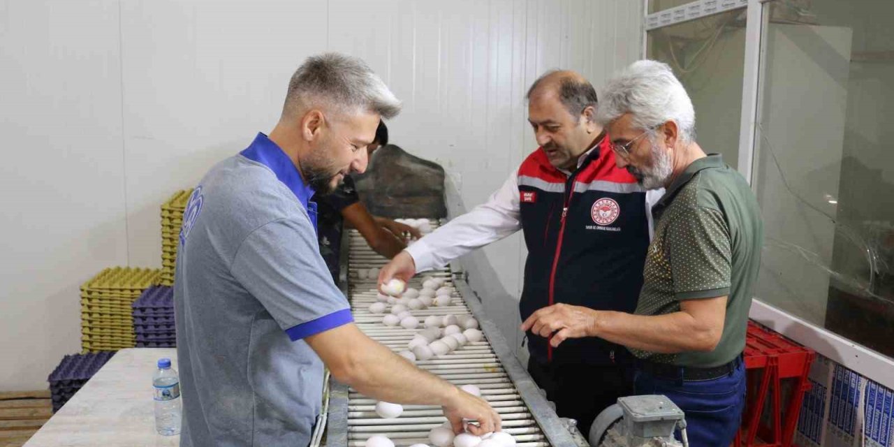 Erzincan’da tam otomatik tesislerde üretilen yumurtalar tarıma değer katıyor