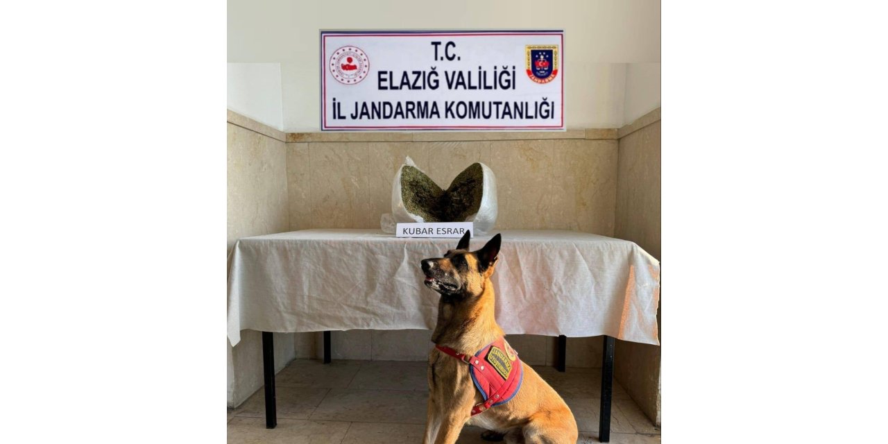 Elazığ’da 7 kilo esrar ele geçirildi: 1 gözaltı