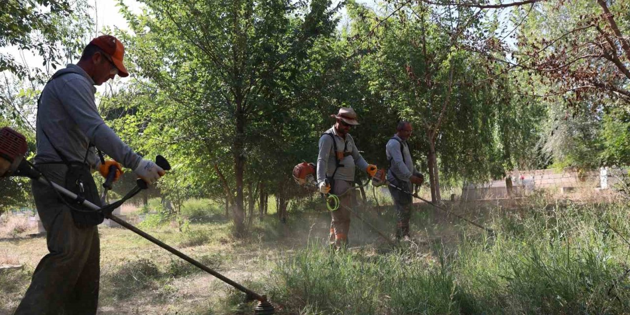 Iğdır’da çevre düzenlemesi çalışmaları