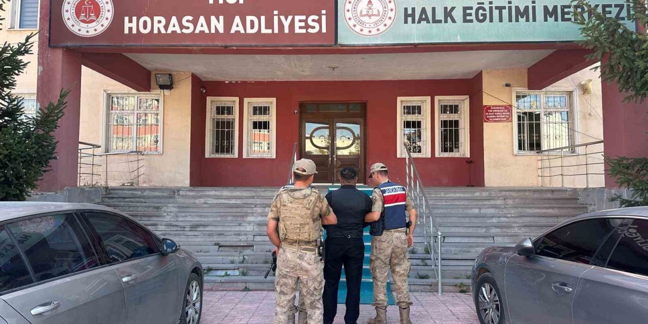 Büyükbaş hayvan hırsızları jandarmadan kaçamadı