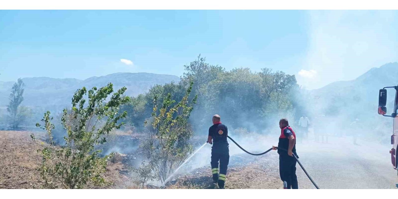 Ağaçlık alanda çıkan yangın itfaiye ekiplerinin müdahalesiyle söndürüldü