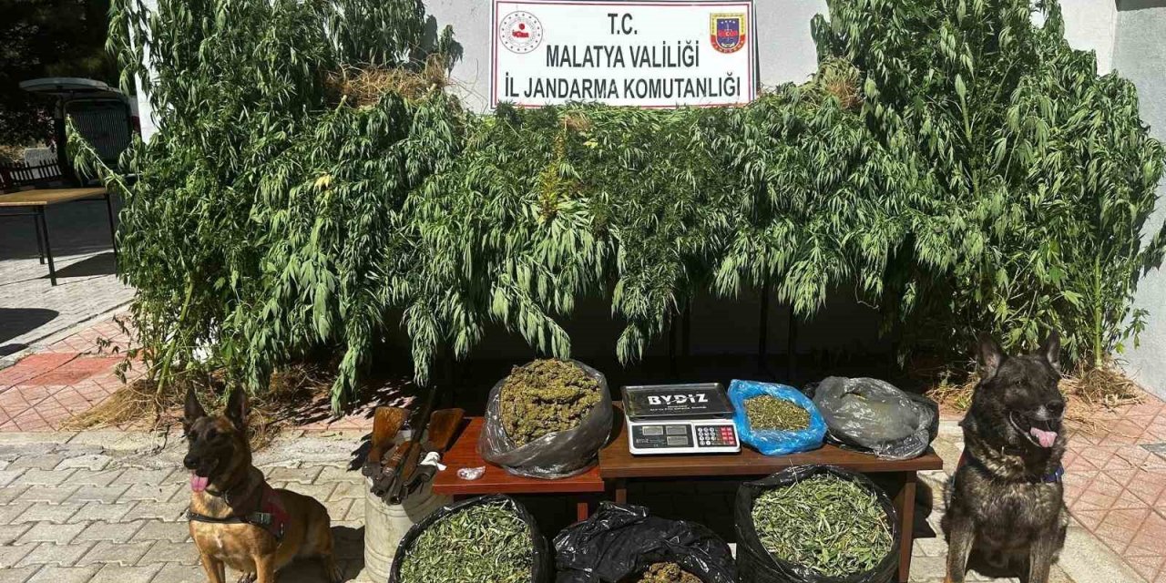 Malatya’da 11,5 kilogram kubar esrar ele geçirildi: 2 gözaltı