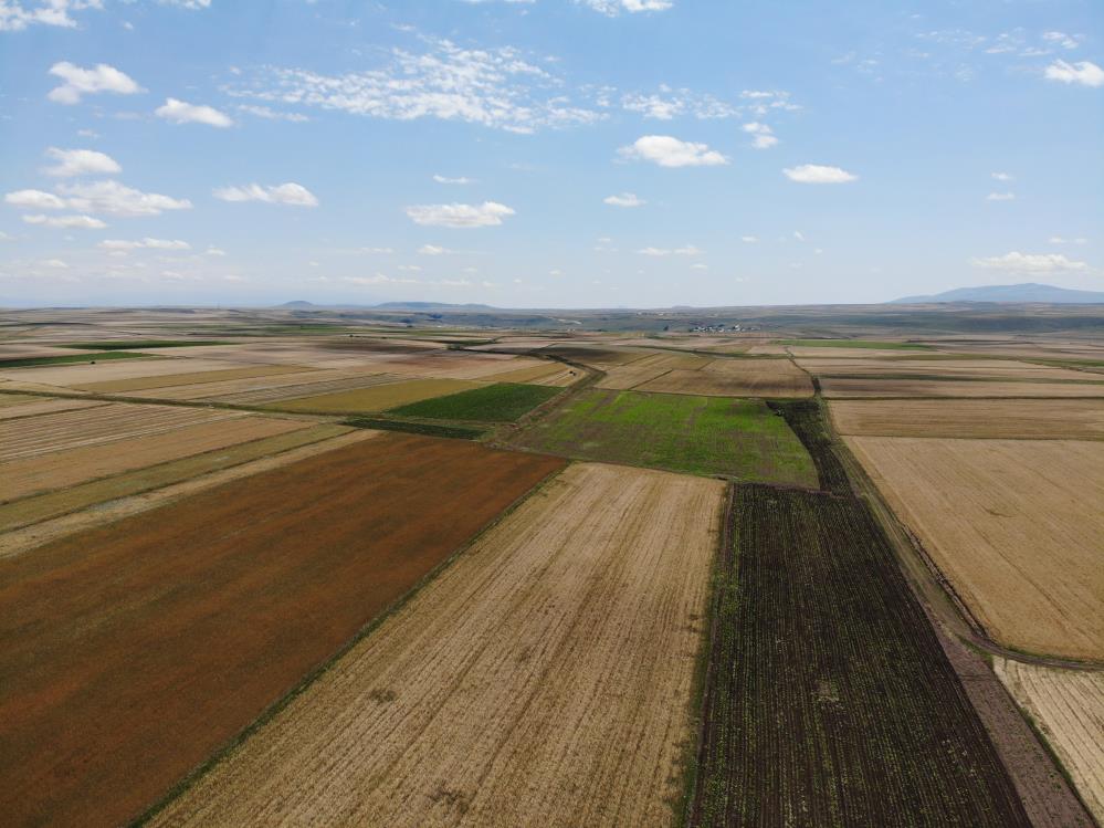 Kars’ta halı ve kilim desenine bürünmüş tarım arazileri dron ile görüntülendi