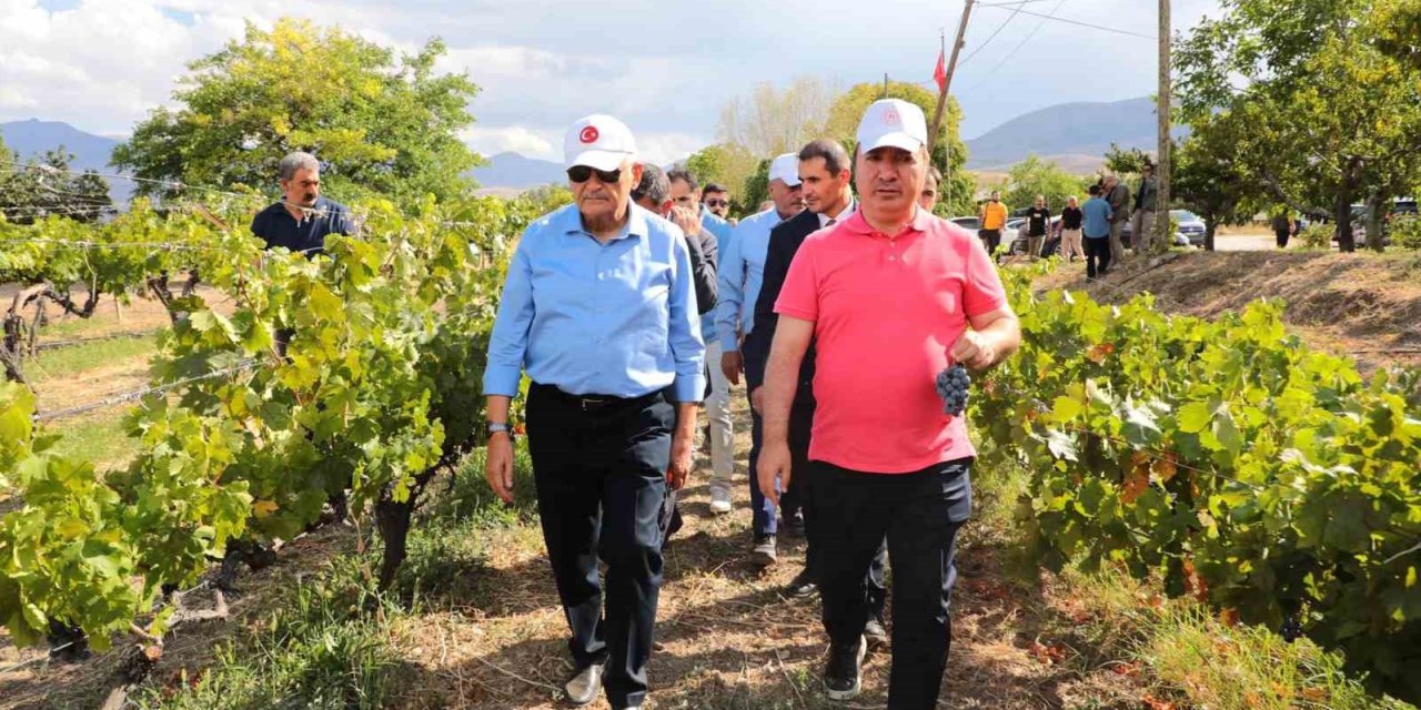 Yıldırım yeni üzüm çeşitleri hakkında bilgi aldı