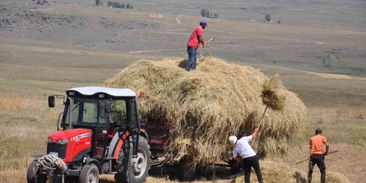 Kars’ta çiftçilerin sıcak havada ot toplama mesaisi