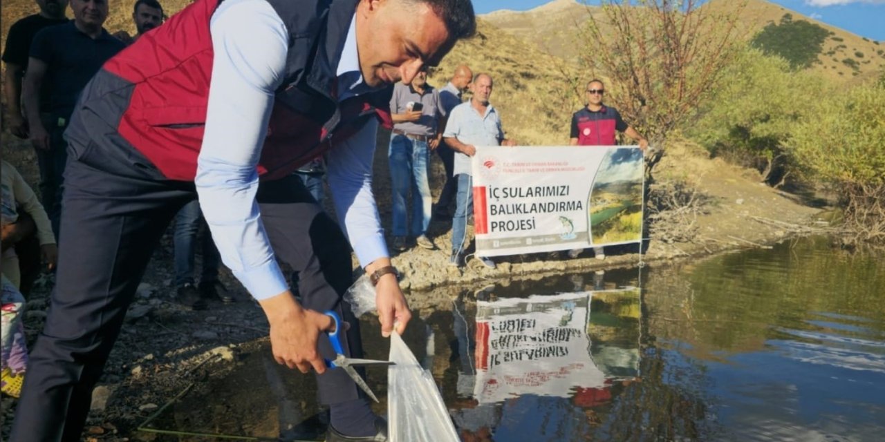 Tunceli’de 1 milyon 670 bin yavru sazan salındı