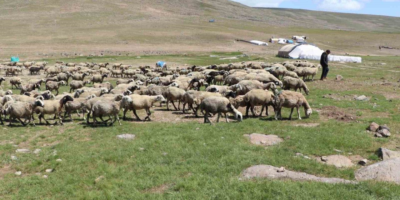 Tarımda yeni yaklaşımlar anlatıldı