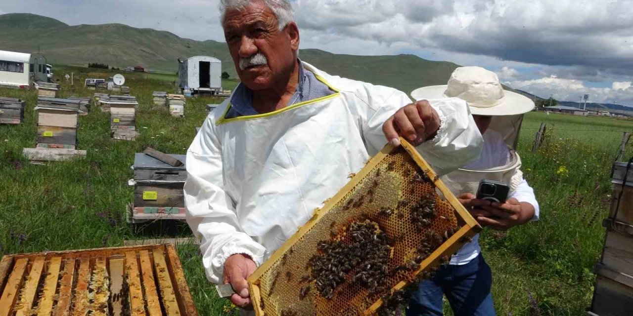 Ardahan Arıcılar Birliği’nden tüketicilere ucuz bal uyarısı