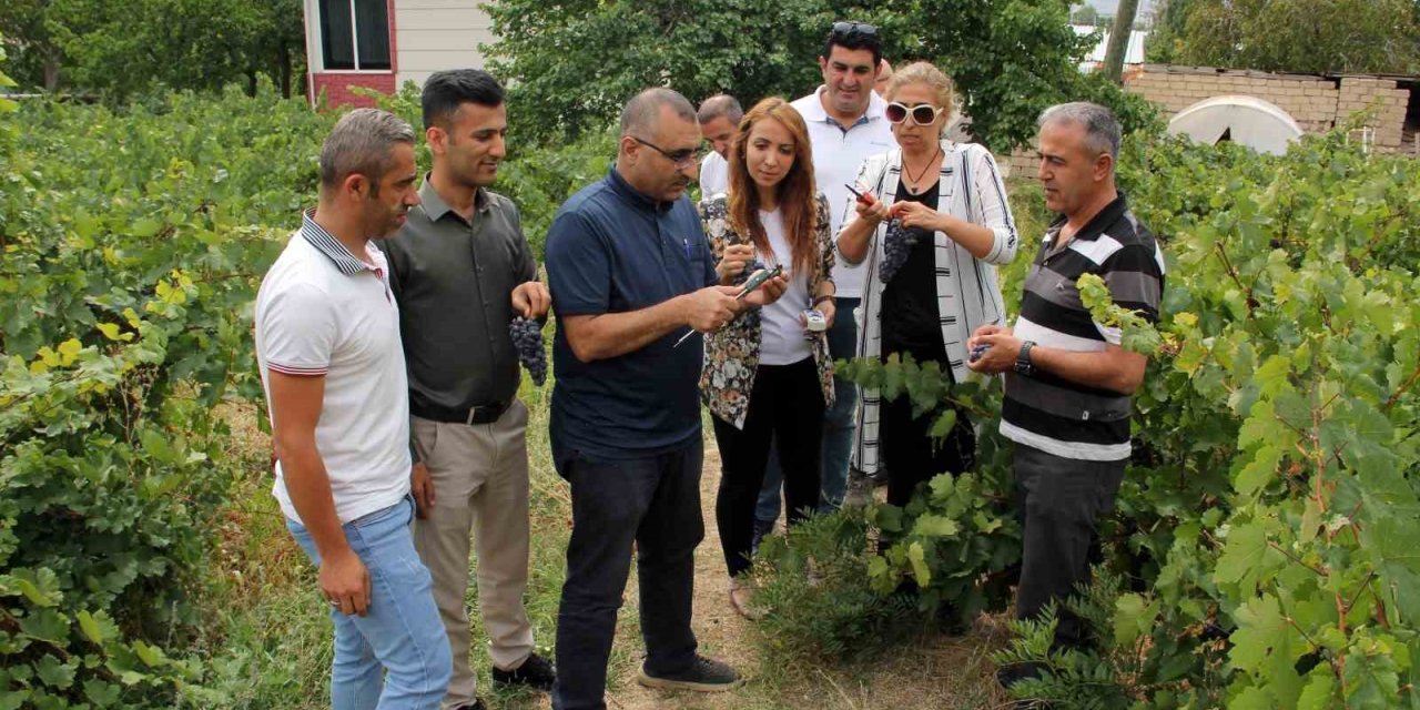 Başkan Süer: “Erciş üzümü kalitesini koruyor”