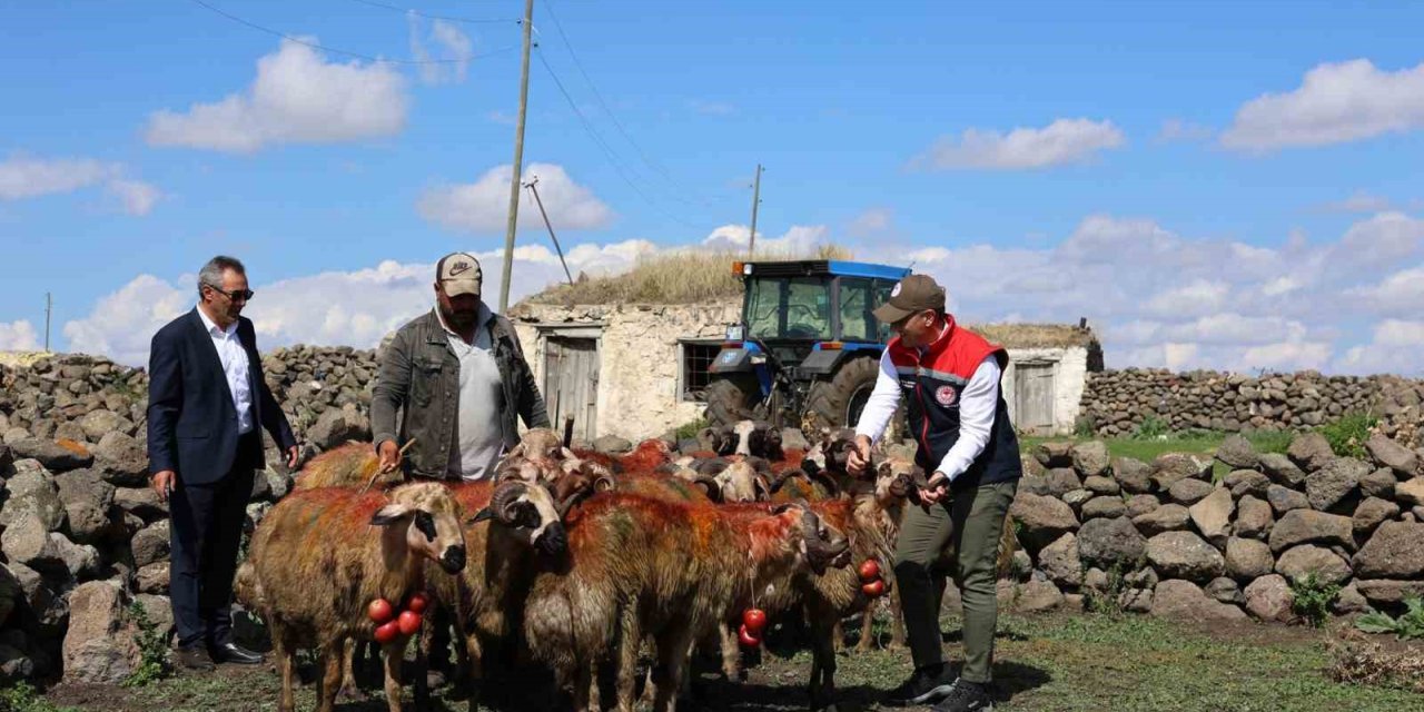 Kars’ta koç katımı yapıldı