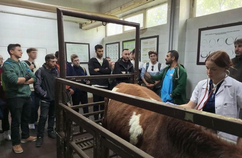 KAÜ'de fakülte tanıtımı yapıldı