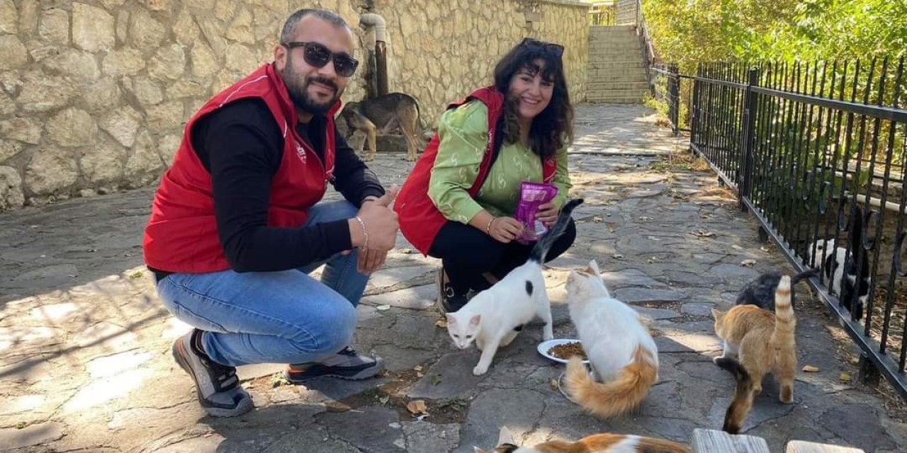 Elazığ’ın genç gönüllülerinden sokak hayvanlarına mama desteği