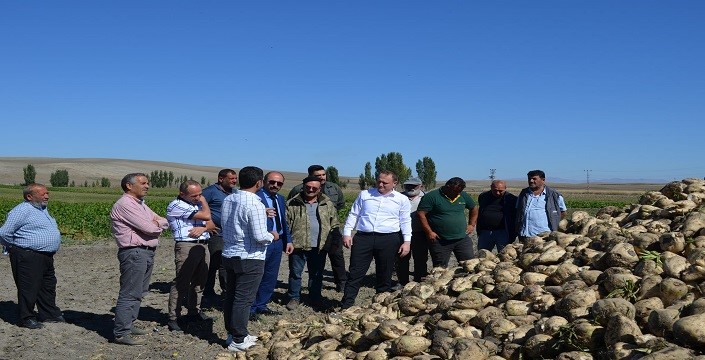 Bulanık Kaymakam Koşansu, şeker pancarı hasadı yapan çiftçileri ziyaret etti