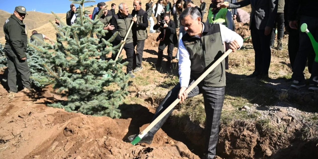 Palandöken’de 60 bin fidan toprakla buluştu