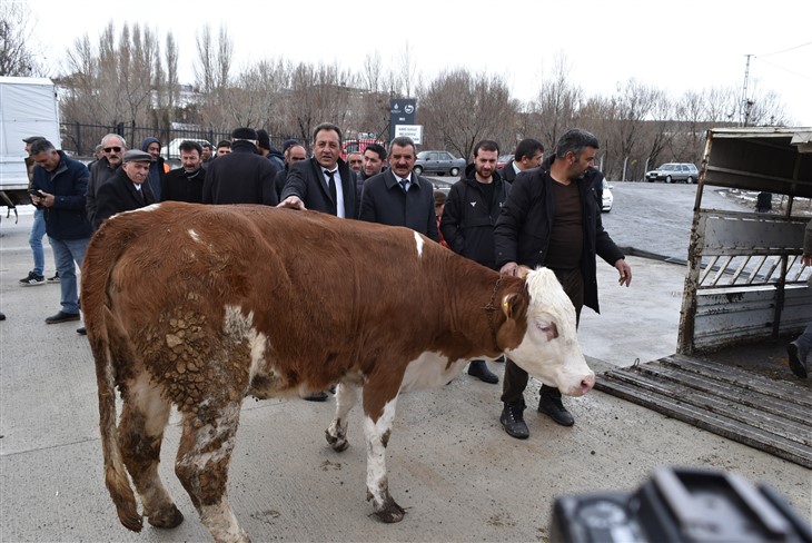 Susuz hayvan pazarı Cumartesi günleri açık olacak