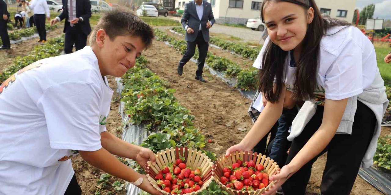 16 Ekim Dünya Gıda Günü’nde bir araya gelen öğrenciler hasat yaptı