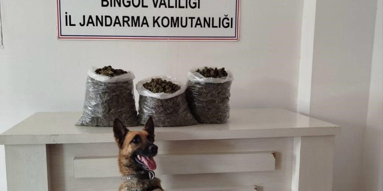 Bingöl’de 4,5 kilo esrar ele geçirildi