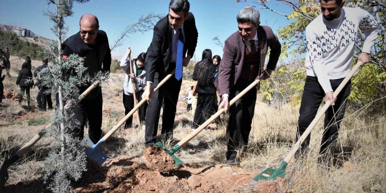 Fidanlar toprakla buluştu