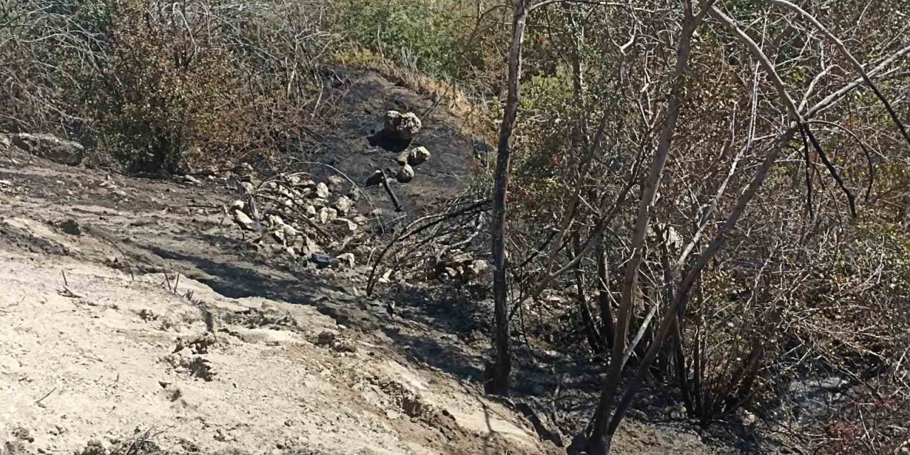 Darende’de bahçe yangını