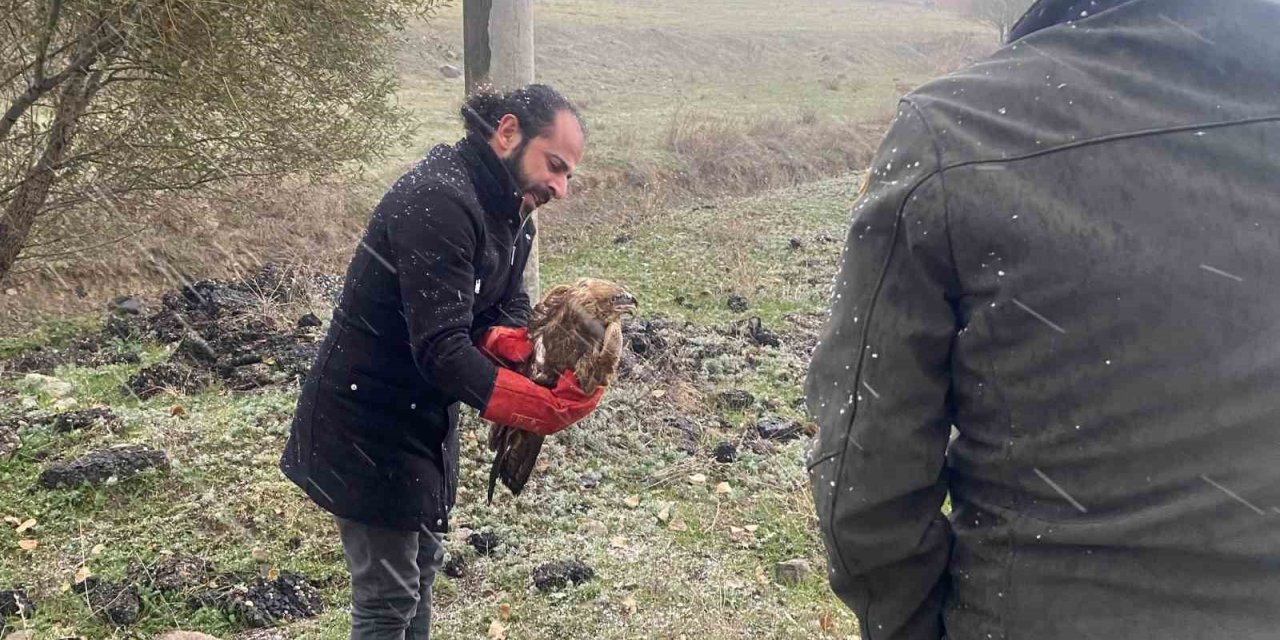 Polisten atmacaya şefkat eli