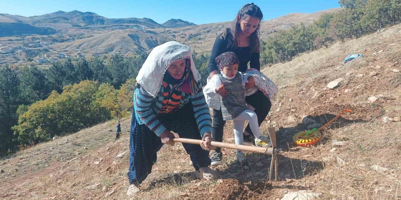 Tunceli’de bin meşe palamudu toprakla buluşturuldu