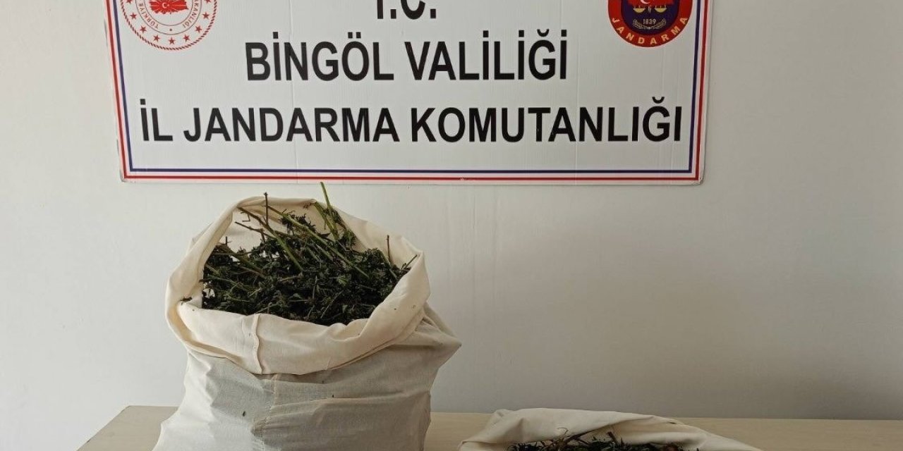 Bingöl’de 7 kilo esrar ele geçirildi