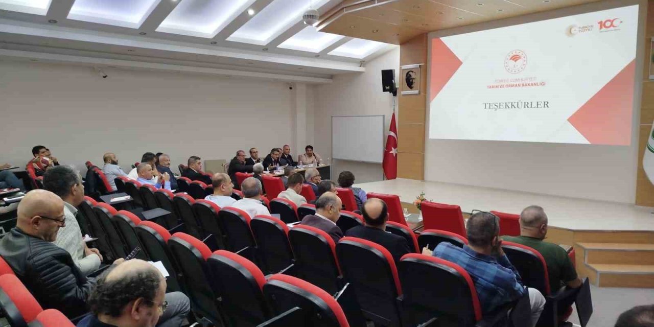 Erzincan 3 projeye daha onay aldı