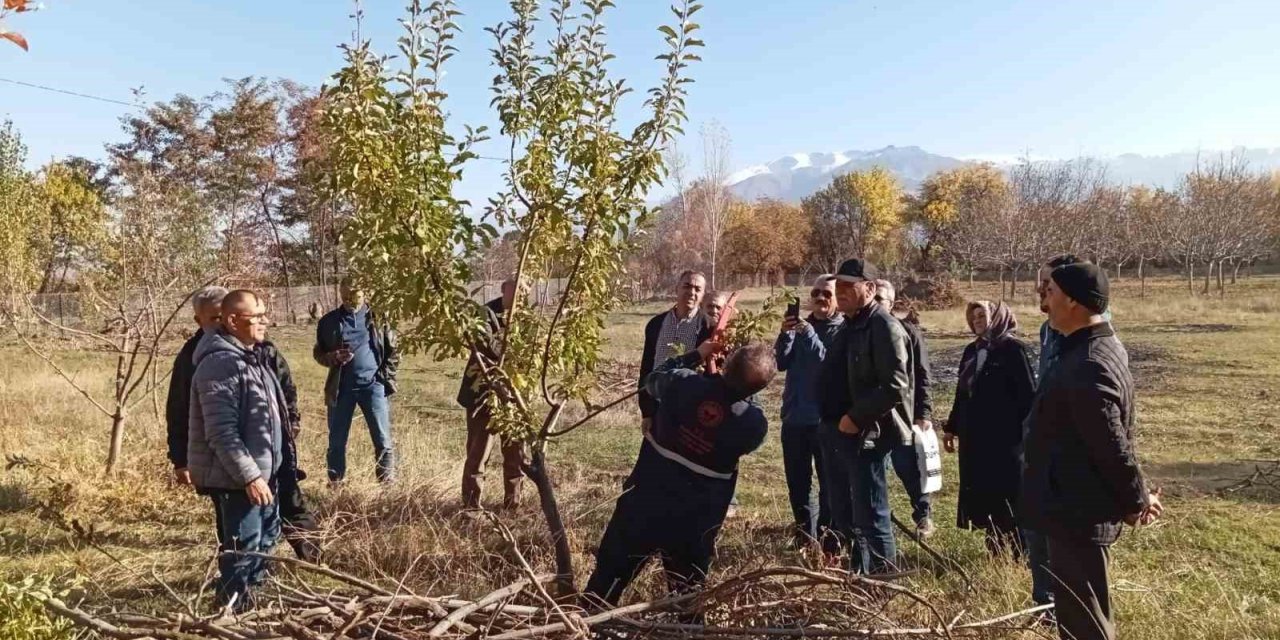 Erzincan’da teorik ve pratik budama eğitimleri başlatıldı