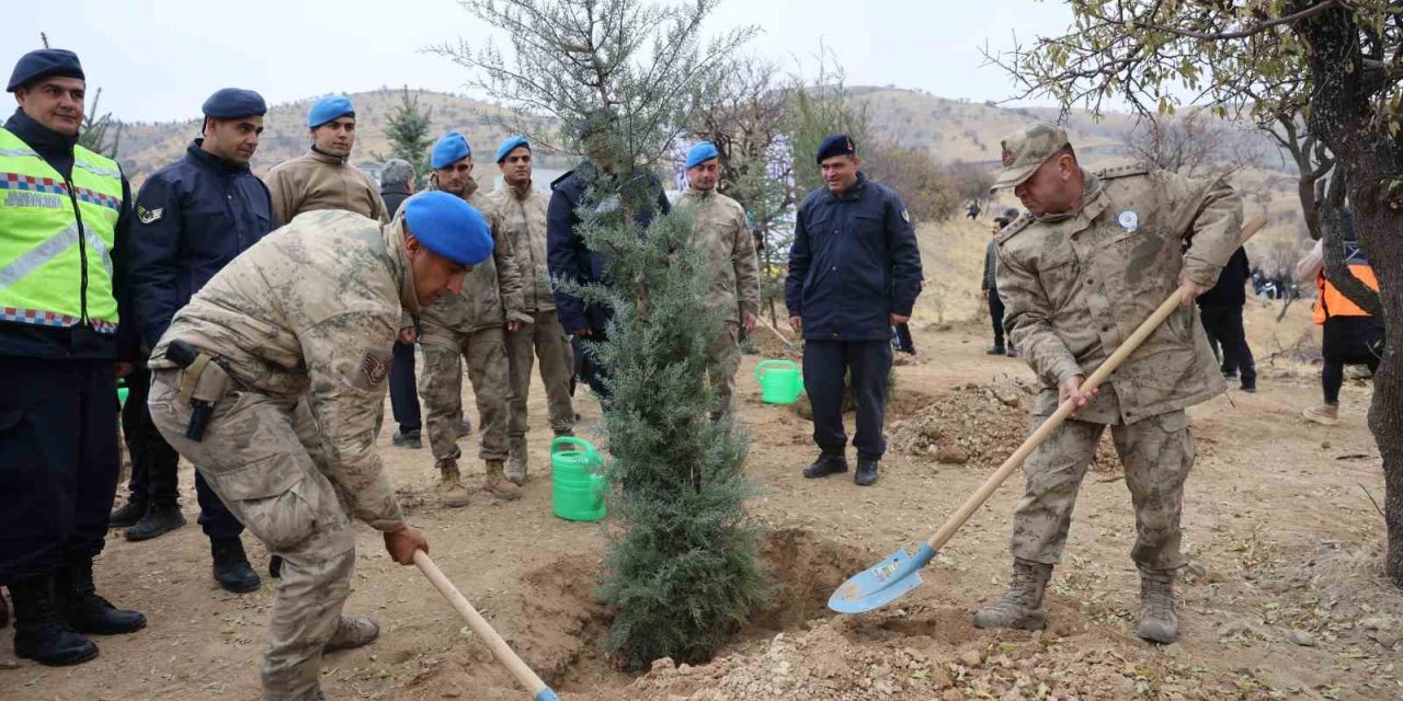 Elazığ’da 2 bin 300 fidan toprakla buluştu