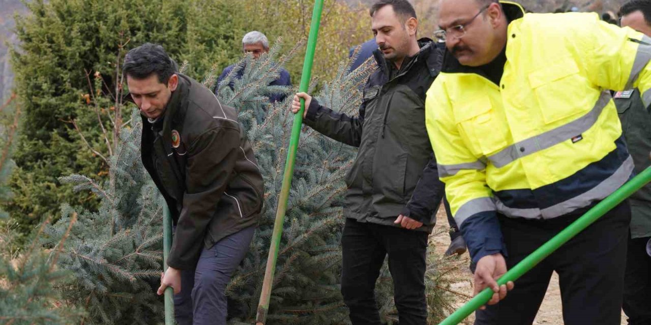 Kemaliye’de geleceğe nefes için fidan dikildi