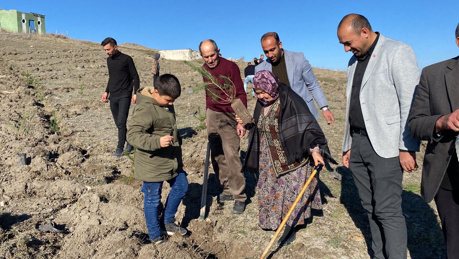 Kars'ta Suya Kavuşan 90 Yaşındaki Pamuk Nine ilk iş Olarak ağaç dikti