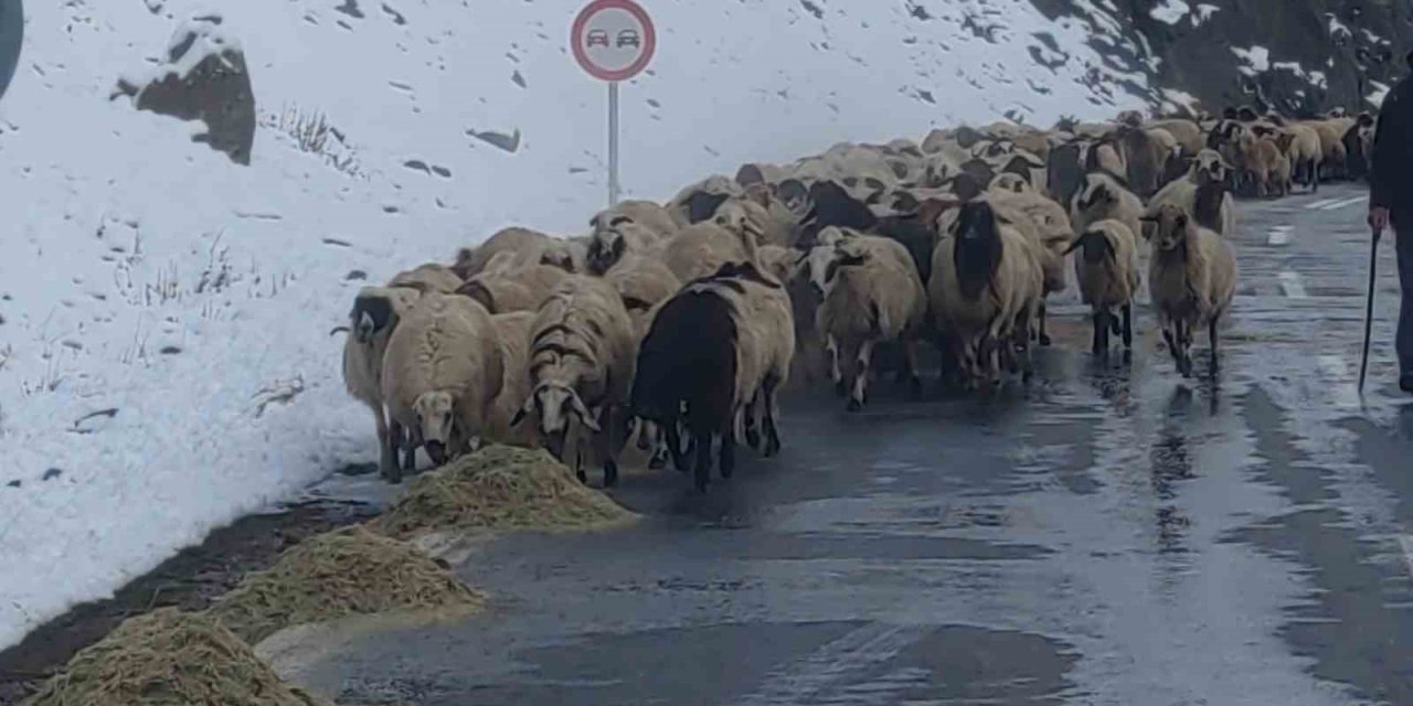 Van’da besicilerin zorlu kış mesaisi başladı