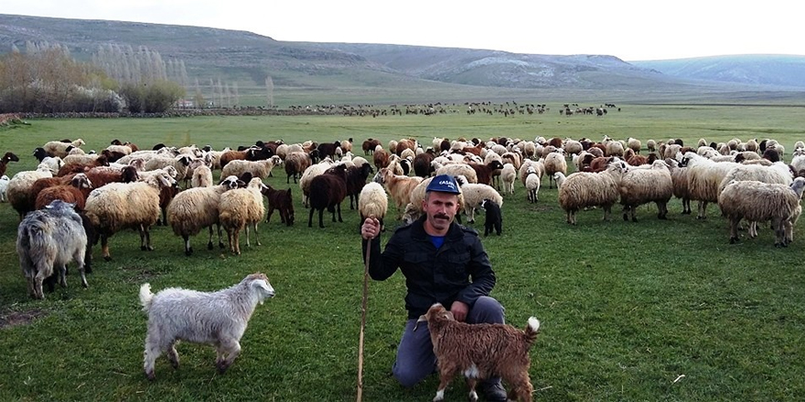 Kars’ın birinci önceliği tarım ve hayvancılık