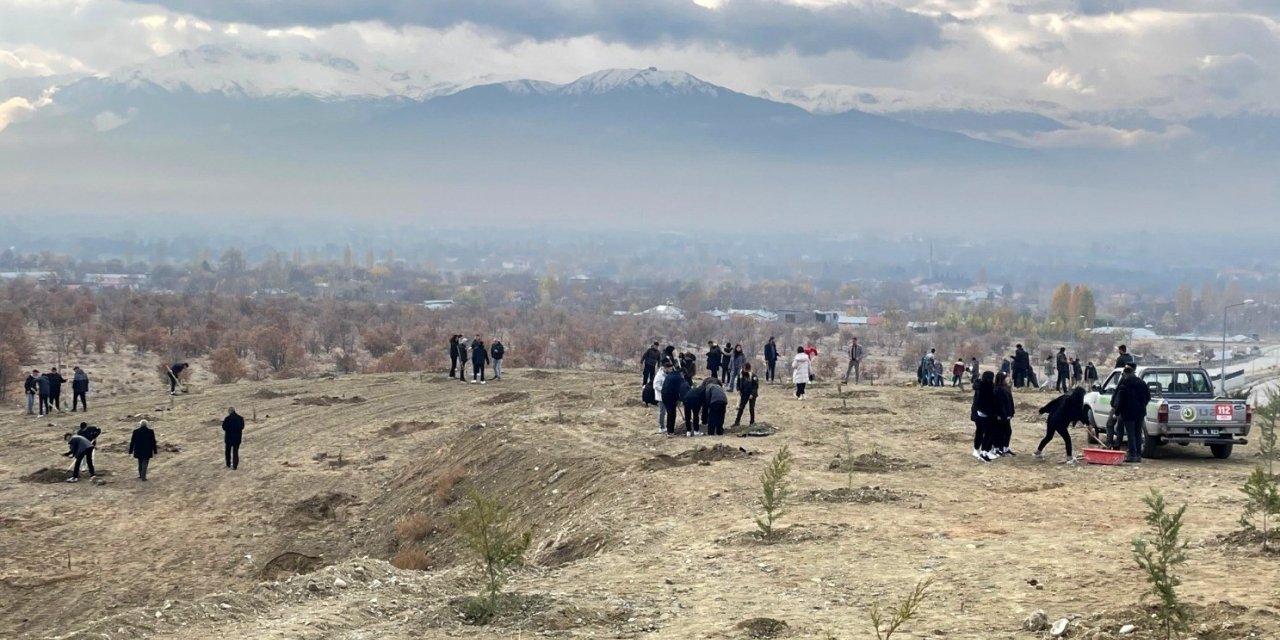 Erzincan’da dağa taşa umut ekiyorlar