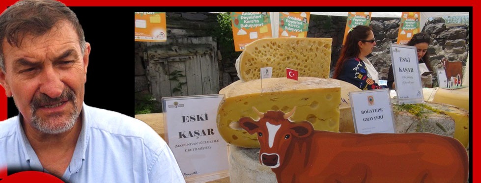 Kars’tan Rusya’ya kaşar ve gravyer peyniri ihraç edilir karşılığında tarım aletleri getirilirdi