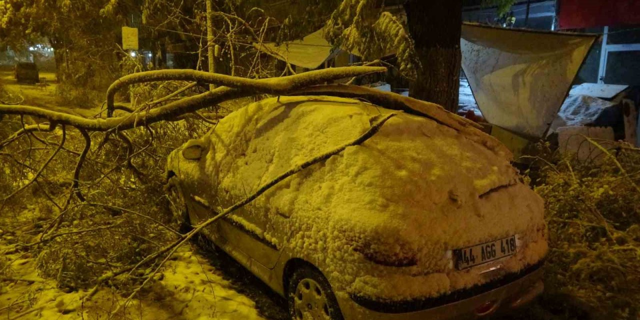 Malatya’da kardan kırılan ağaç dalları araçların üzerine devrildi