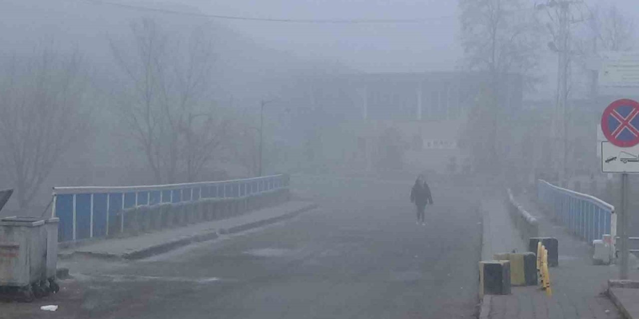 Kars’ta yoğun sis etkili oldu