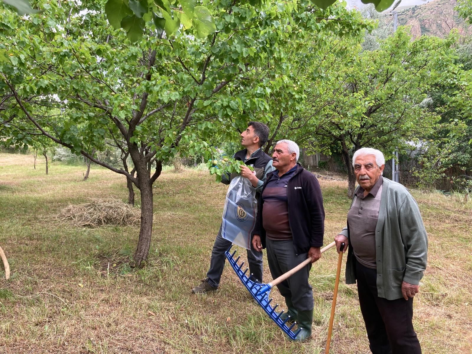 Kars'ta hasat öncesi pestisit denetimleri gerçekleştirdi