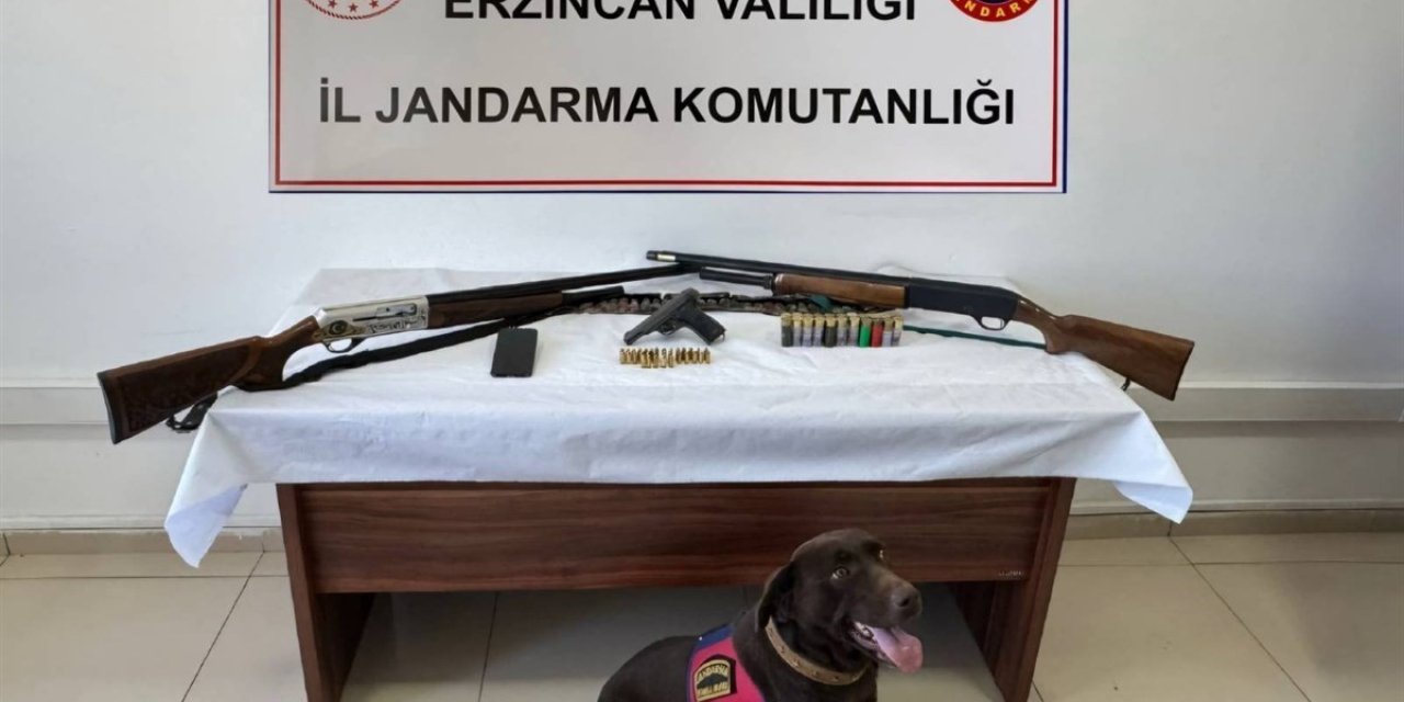 Erzincan jandarmasından suç olaylarına geçit yok