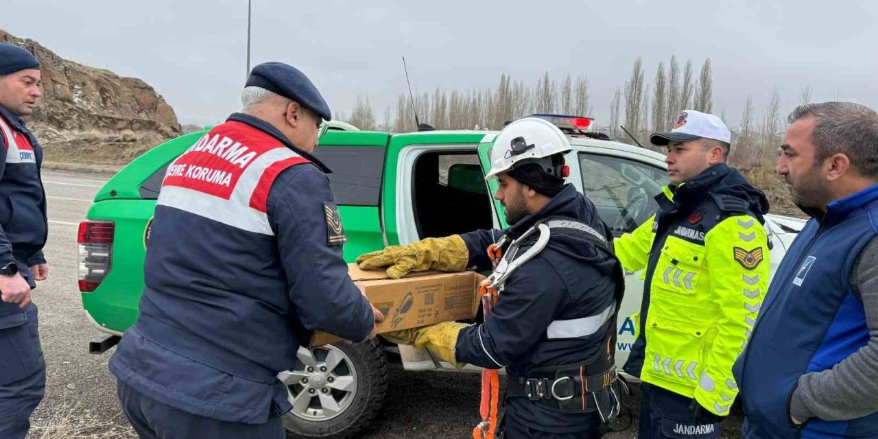 Muş’ta elektrik tellerine sıkışan puhu kuşu kurtarıldı