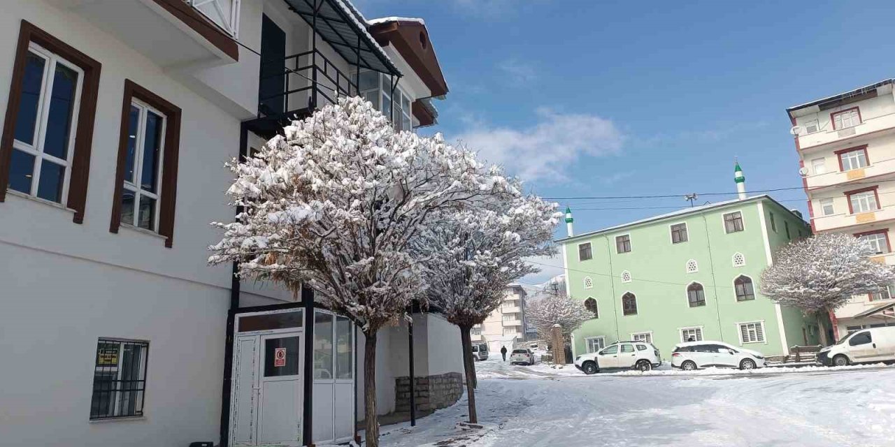 Özalp ilçesinde kar yağışı