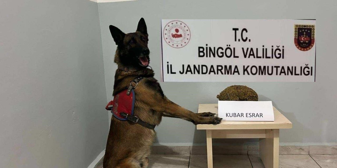 Bingöl’de uyuşturucu ve  aranan şahıslara yönelik çalışma