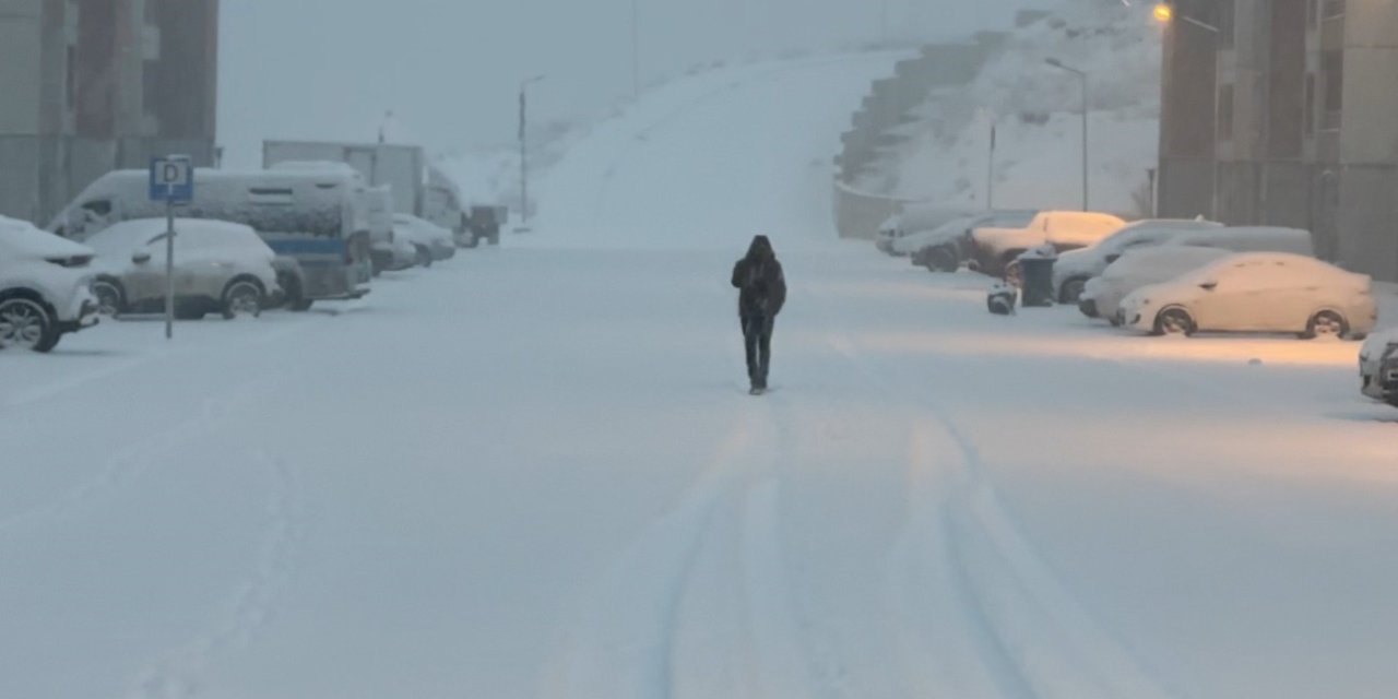 Yüksekova’da lapa lapa kar yağışı başladı