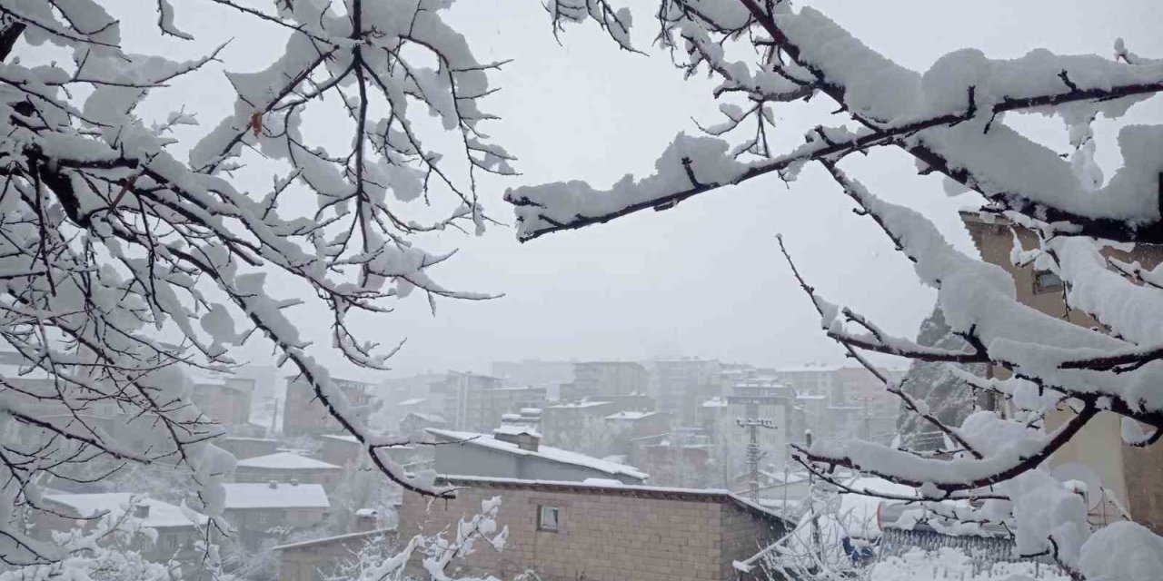 Hakkâri’de kar yağışı