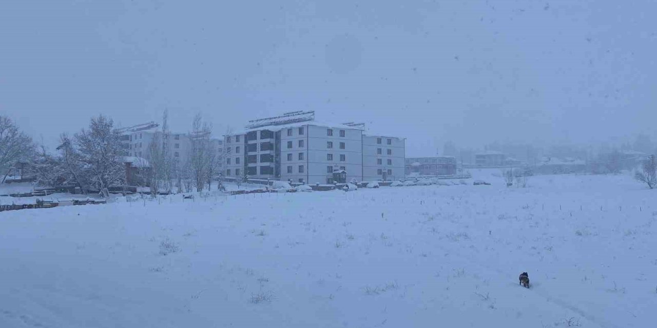 Kar, bir ilçenin tüm köy yollarını ulaşıma kapattı