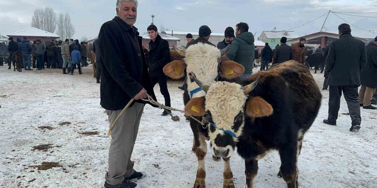 Ağrı Hayvan Pazarı’nda dondurucu soğuk çileye dönüştü