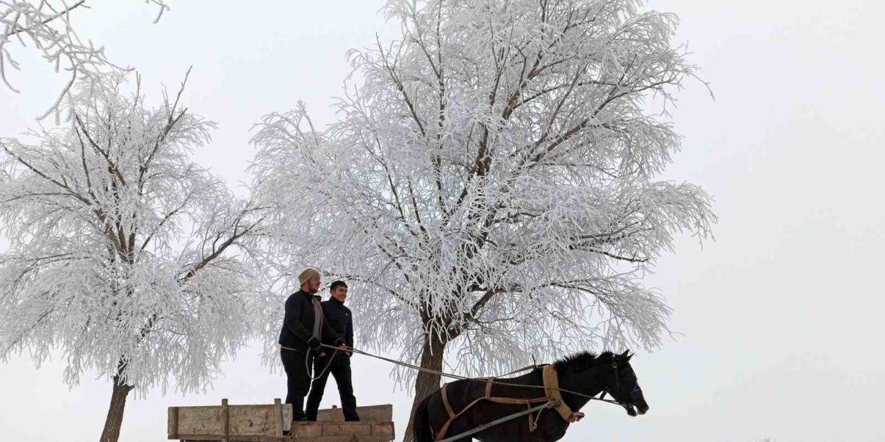 Erzincan’ın Otlukbeli ilçesi buz tuttu!