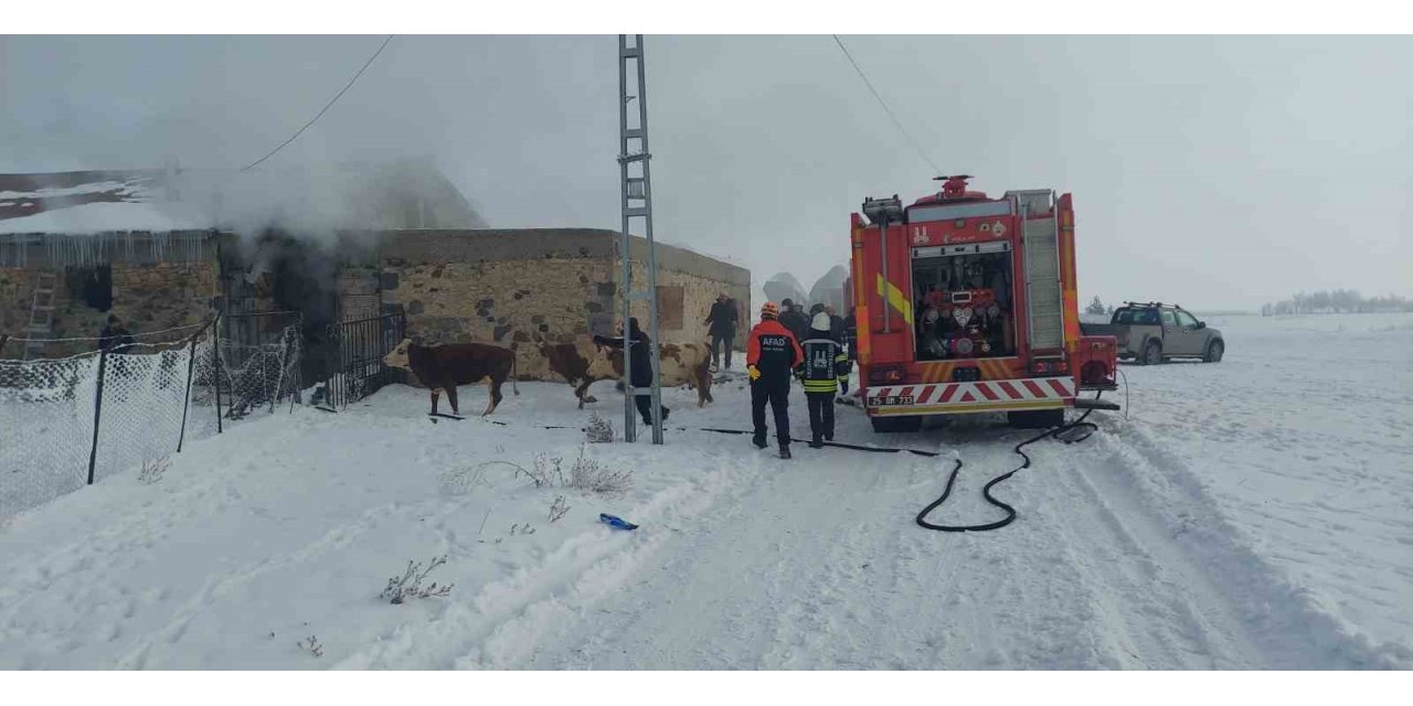 Erzurum’da ahır yangını